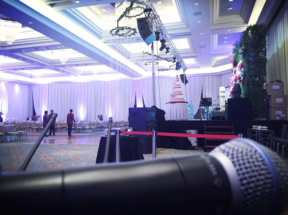 Professional audio system for venue ambience